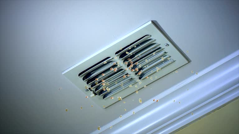 Best HVAC Duct Inspection Services  in Huntingtown, MD